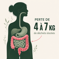 RESET — La cure intensive qui draine en 7 jours. 7 plantes. 0 chimie.